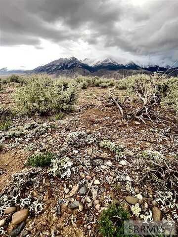 Tbd Old Chilly Road, Mackay, ID 83251