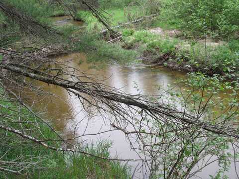 Spikehorn Trail, Indian River, MI 49749