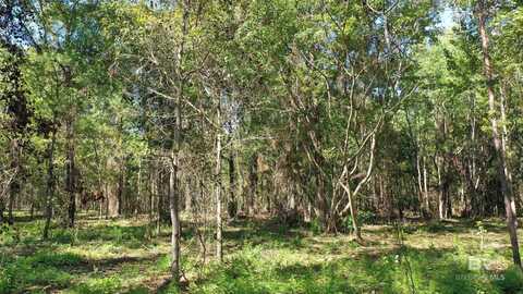 Lot 2 Harris Street, Atmore, AL 36502