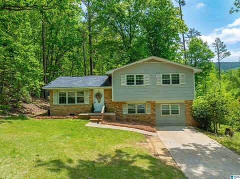 910 12TH AVENUE, JACKSONVILLE, AL 36265