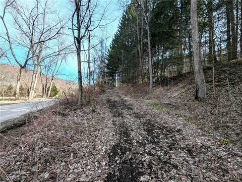 Ryan Hollow Road, Cohocton, NY 14826
