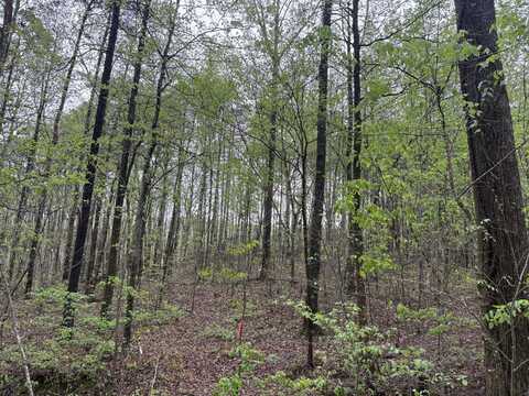 193 Highway Road, La Fayette, GA 30728