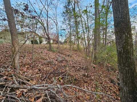 Lot 25 Countryside Drive, Evensville, TN 37332
