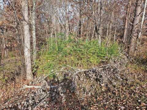 Lts 29/30 Smyrna Heights Road, Evensville, TN 37332