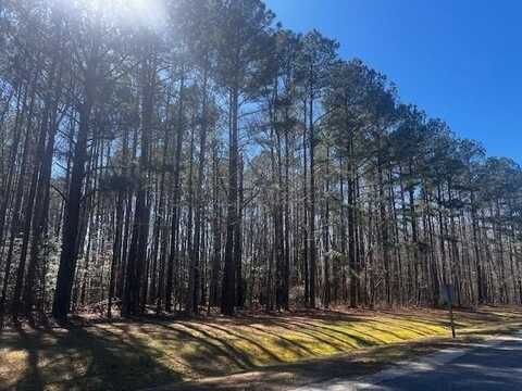 Lot 39 Steamboat Lane, Heathsville, VA 22473