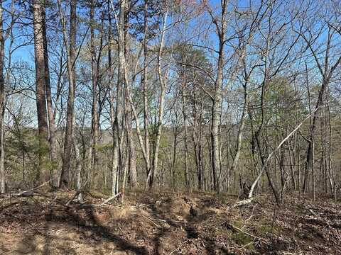 Lot 2 Buckeye Lane, WILDER, TN 38589