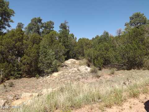 3500/3506 Evergreen Drive, Overgaard, AZ 85933