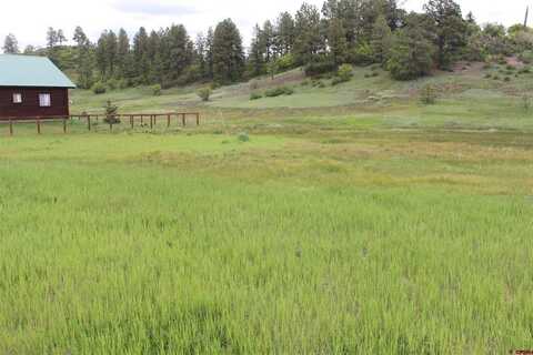 249 Hills Circle, Pagosa Springs, CO 81147