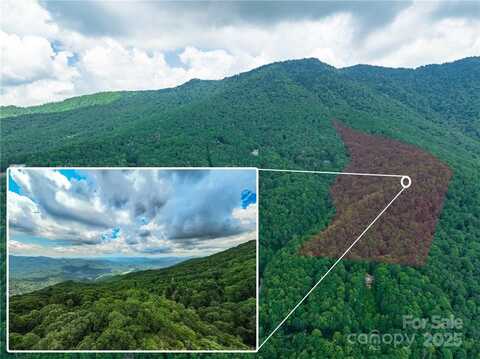 99999 Parris Branch Road, Sylva, NC 28799
