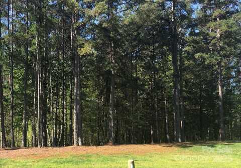 6157 Volte Drive, Mint Hill, NC 28227