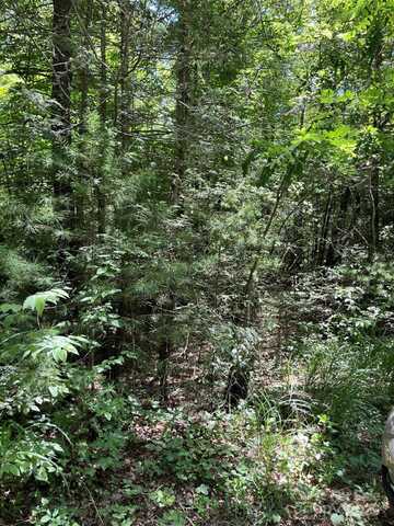 00 Pleasant Grove Church Road, Hendersonville, NC 28792