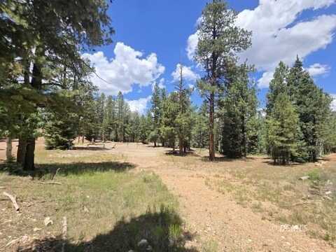 2155 E Big Timber Dr, Duck Creek Village, UT 84762