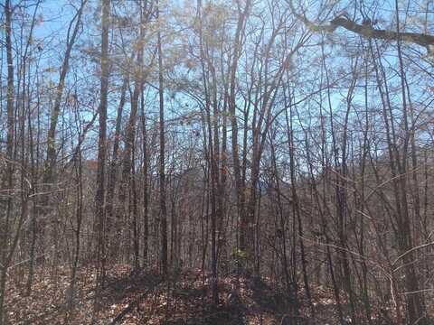 14-17 Fortner Avenue, Bryson City, NC 28713