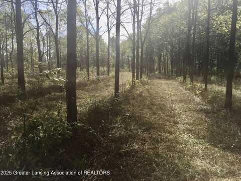 W Solon Road, DeWitt, MI 48820