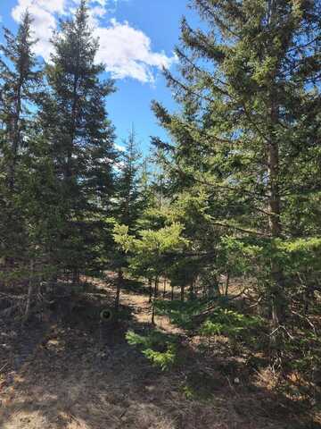 46.6 Acres +/- Vacant Land US-131, Boyne Falls, MI 49713