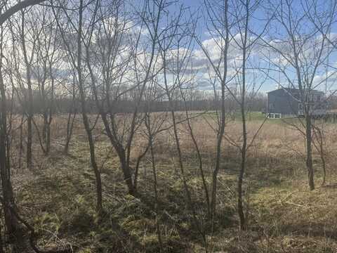 Eagle Pass Drive, Eaton Rapids, MI 48827