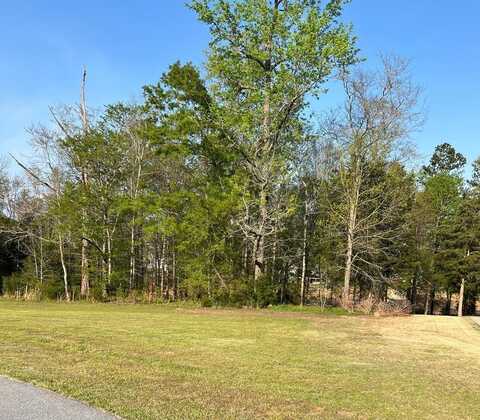 116 Verde Ct, Greenwood, SC 29649