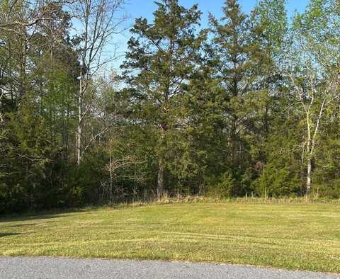 118 Verde Ct, Greenwood, SC 29649
