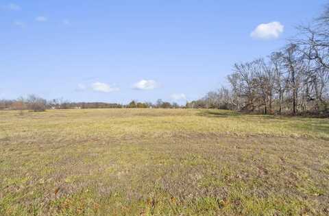 Lot 8 Kamela Ave, Ozark, MO 65721