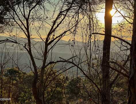 Lot 63 Twin City Way, Pigeon Forge, TN 37876