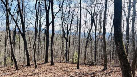 159 Summit Trails drive, Sevierville, TN 37862