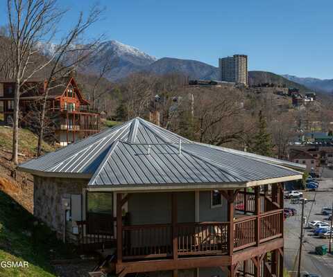 145 W Holly Ridge Road, Gatlinburg, TN 37738