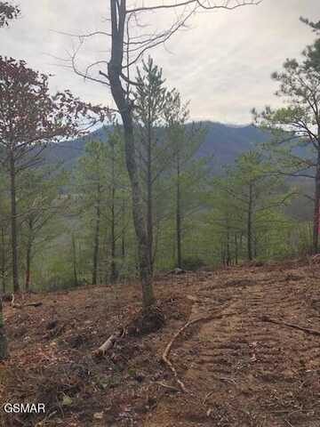 Lot Tr1-b Sulpher Springs Way, Sevierville, TN 37876
