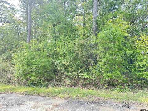 Lot 9 Three Points Estate, Frankston, TX 75763