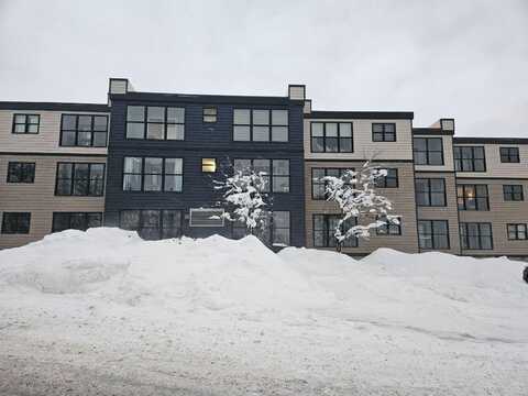 114 A Snowcrest, Snowshoe, WV 26209