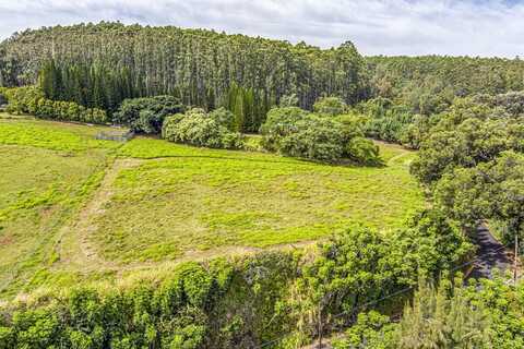 36-2615 LAUPAHOEHOE POINT RD, Laupahoehoe, HI 96774