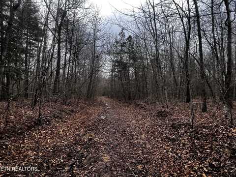 Lot 31 Tiffany Lane, Jamestown, TN 38556