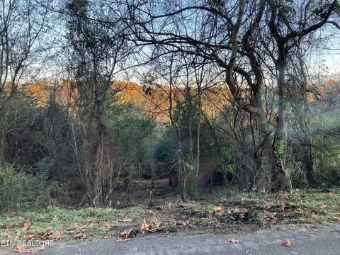 Lot 19 English Fields Drive, Newport, TN 37821