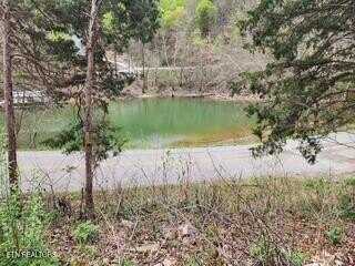 Flat Hollow Rd, Speedwell, TN 37870