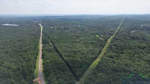 Tbd FM 2796, Pittsburg, TX 75686