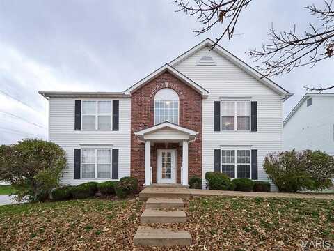 20 Homefield Gardens Court, O'fallon, MO 63366