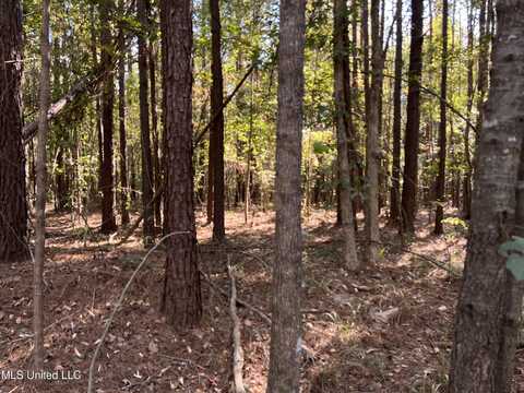 00 Mississippi Hwy 18, Brandon, MS 39042