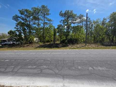 13070 QUIGLEY AVENUE, WEEKI WACHEE, FL 34614