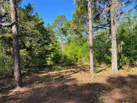 15475 SW 36TH STREET, OCALA, FL 34481
