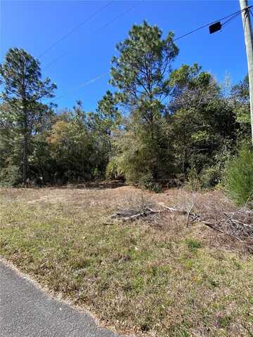 8630 N CATAPANE LOOP, CRYSTAL RIVER, FL 34428