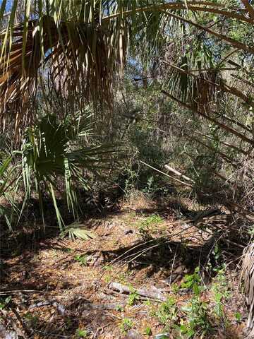 2519 W PLUMTREE LANE, DUNNELLON, FL 34433
