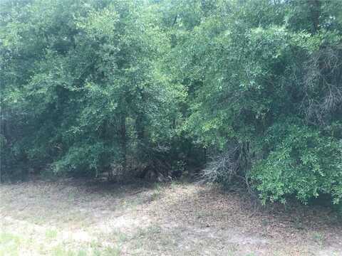 10161 N DYAL DRIVE, CITRUS SPRINGS, FL 34434