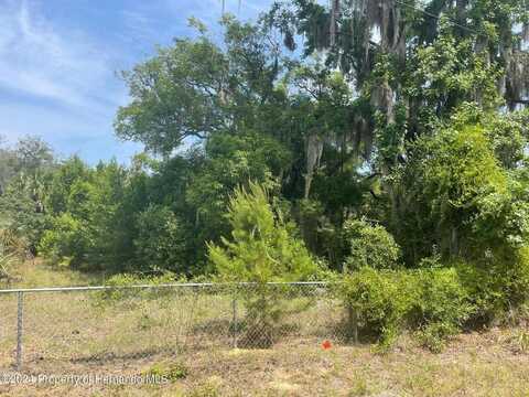 5180 PACIFIC AVENUE, WEEKI WACHEE, FL 34607