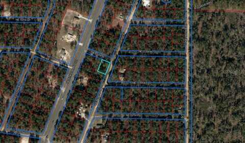 Tbd NE BOROS DR & 11TH PLACE, WILLISTON, FL 32696