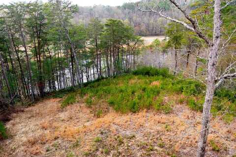 000 Mountain Watch Ln, MURPHY, NC 28906