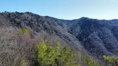 Lot 84 Black Rock Creek, CHEROKEE, NC 28789