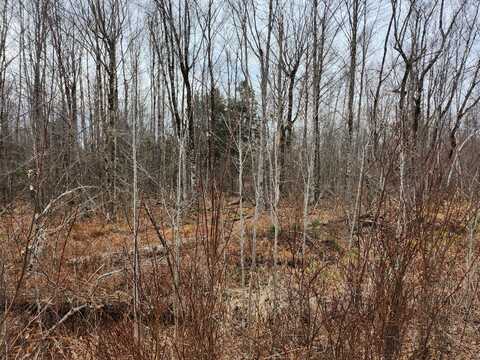 Lot 29-4 Windfall Lane, Palmyra, ME 04965