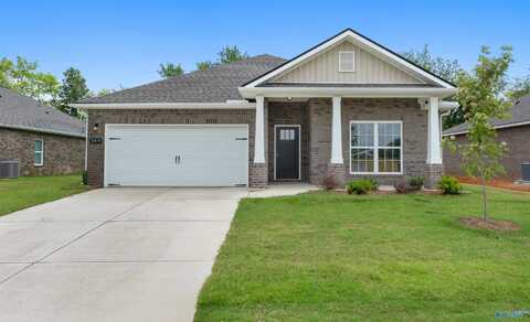 149 Ivy Vine Drive, Toney, AL 35773