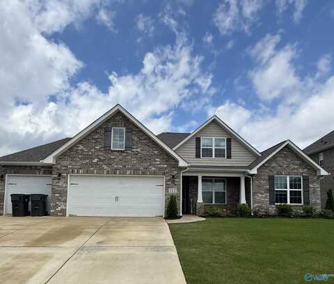 112 Daisy Lane, Meridianville, AL 35759