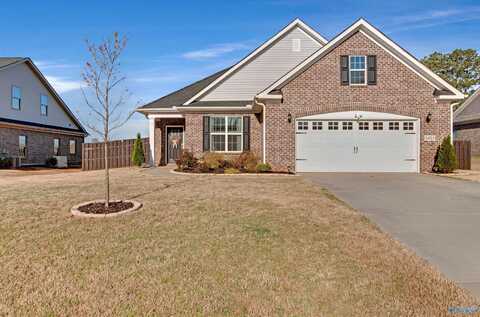 14323 Grey Goose Lane, Harvest, AL 35749