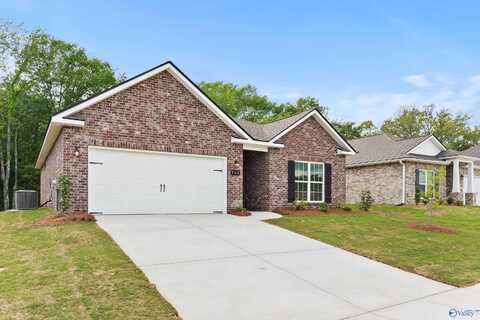 162 River Pointe Drive, New Market, AL 35761